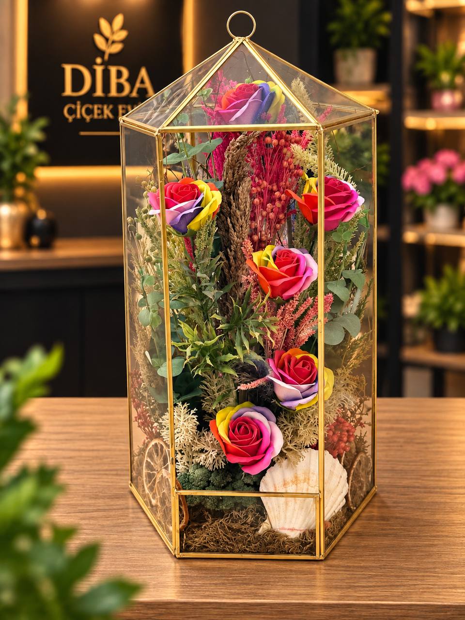 🌈 Renklerin Büyüsü Premium Teraryum 1